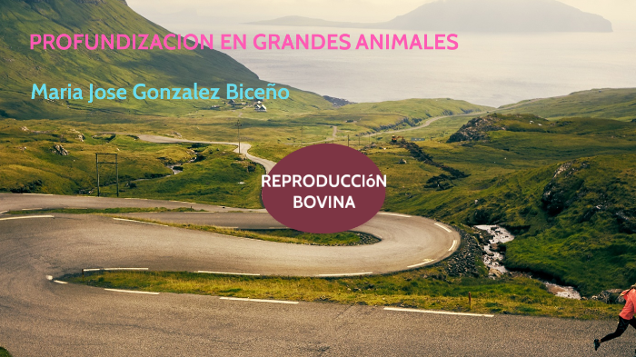 mapa mental maria jose gonzalez by maria jose gonzalez on Prezi