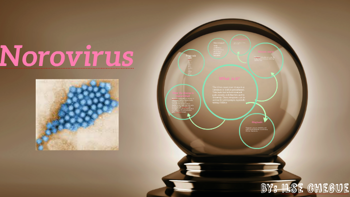 norovirus presentation prezi