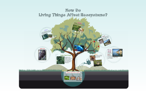 living things affect environment