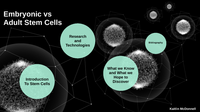 Embryonic Vs Adult Stem Cell Research