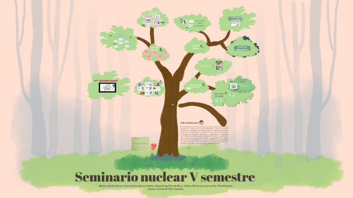 Presentación seminario nuclear by Paula Andrea Barrero Patiño on Prezi