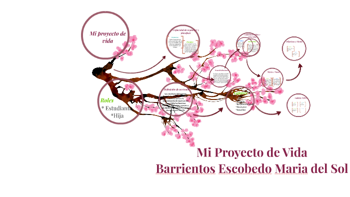 Mi proyecto de vida by marisol barrientos on Prezi