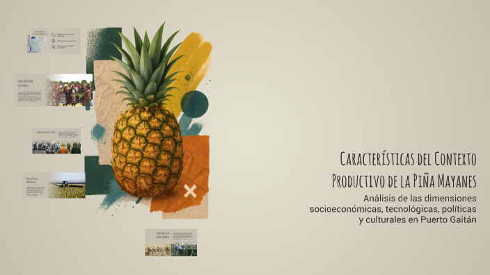 Características del Contexto Productivo de la Piña Mayanes by Ivonne ...