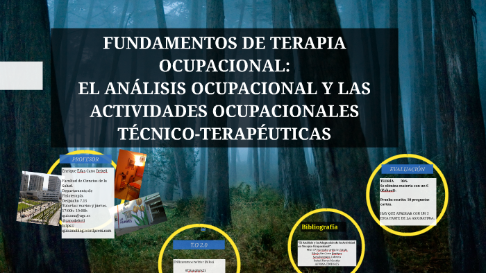 Fundamentos De Terapia Ocupacional By Quique Cano On Prezi 8672