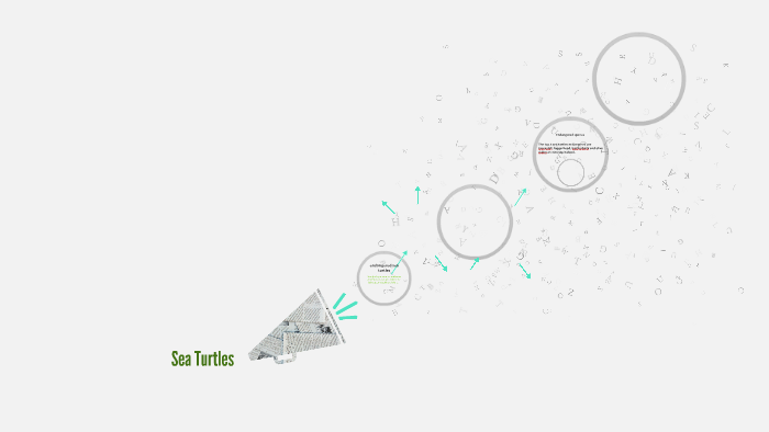 Sea Turtles by Emily Souder on Prezi