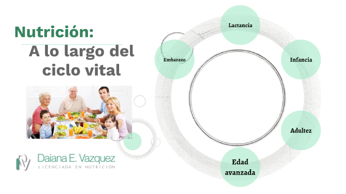 Nutricion En El Ciclo De La Vida