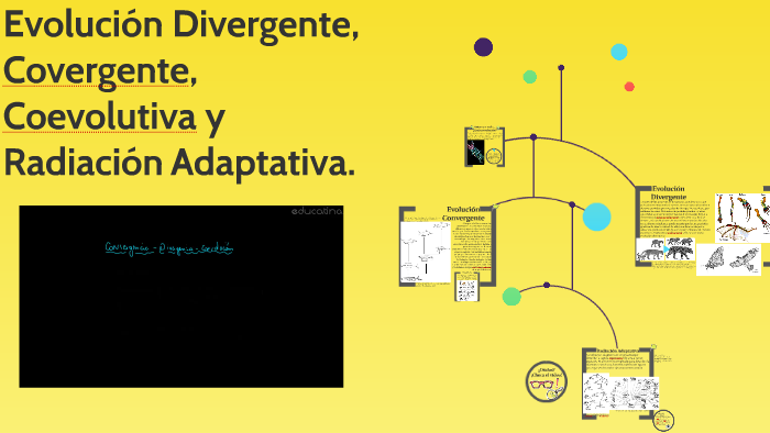 evolución divergente