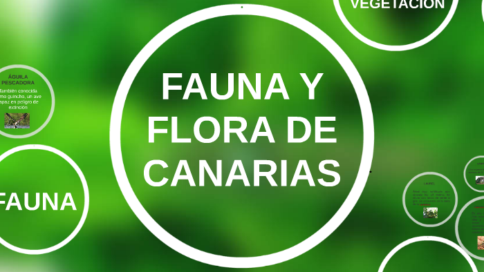 FAUNA Y FLORA DE CANARIAS by Zodiak GFX on Prezi