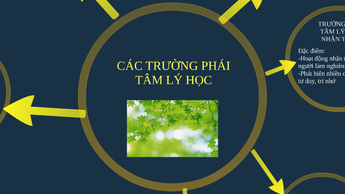 Trường phái hành vi (Behaviorism)