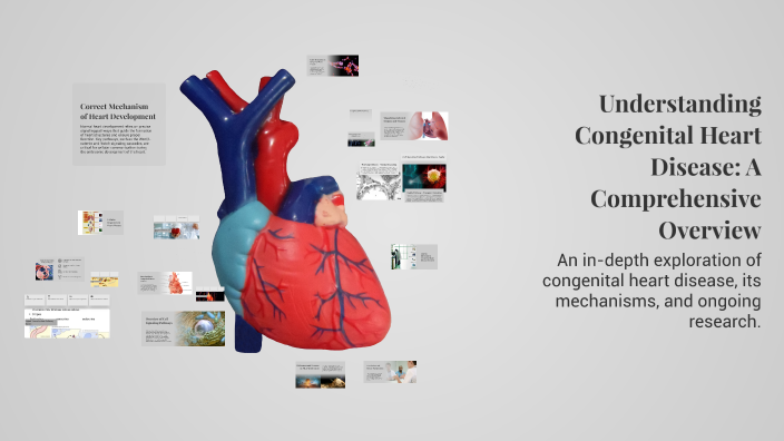 Understanding Congenital Heart Disease: A Comprehensive Overview by ...