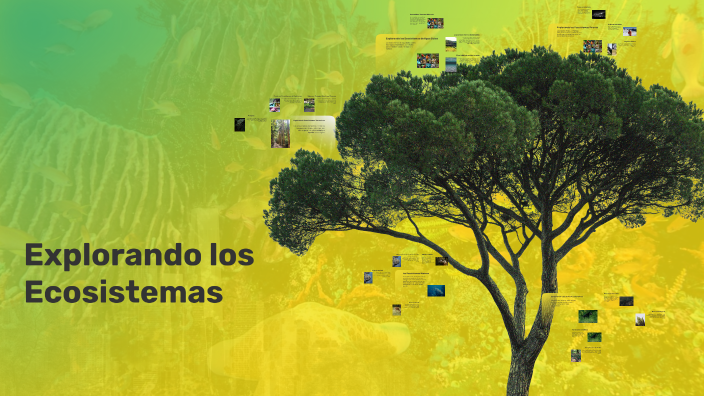 Explorando los Ecosistemas by Its Edy on Prezi