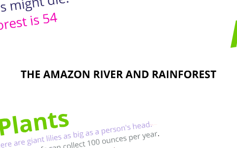 The Amazon rainforest and Amazon river. by Jae Dwyer on Prezi