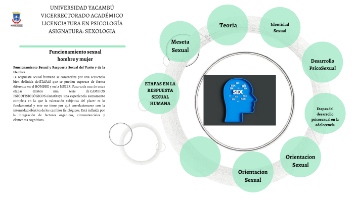 funciones sx de hombre y la mujer mapa mental instructivo para estudiantes  by Luzmar Zerpa on Prezi Next