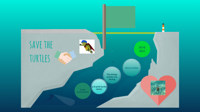 Turtles by Mrs Caro on Prezi