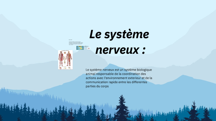 le systeme nerveux by guillaume pages on Prezi