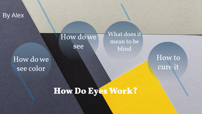 How Do Eyes Work? by Alexander Lopez-Arreaga on Prezi