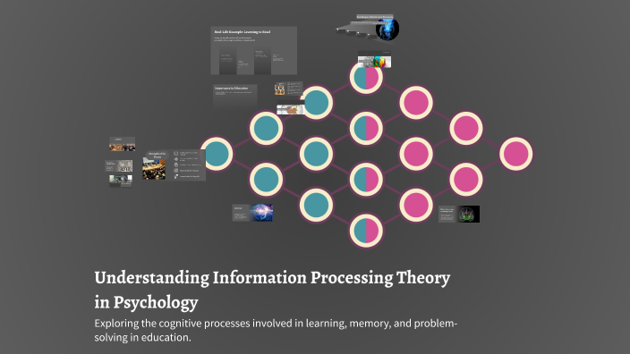 Understanding Information Processing Theory in Psychology by Lara GREEN ...