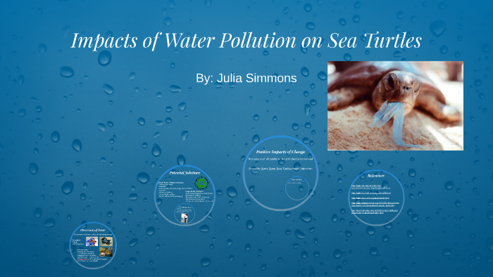 Water Pollution and Sea Turtles by Julia Simmons on Prezi