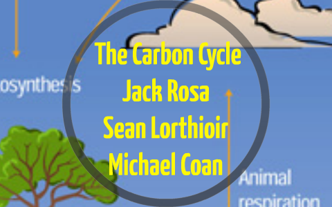 The Carbon Cycle by Jack Rosa on Prezi