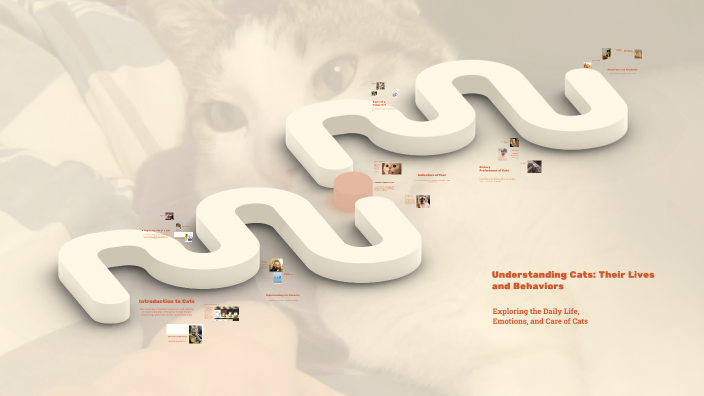 Understanding Cats: Their Lives and Behaviors by Helena Helena on Prezi
