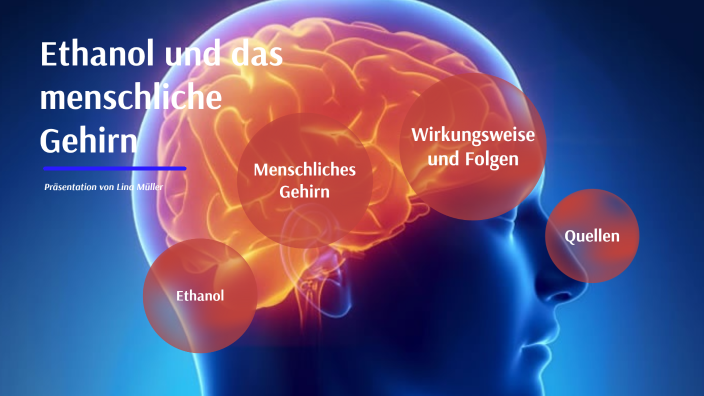 Ethanol Wirkung Auf Den Menschlichen Körper
