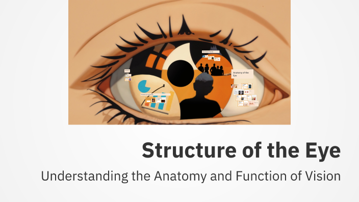 Structure of the Eye by JAY PATEL on Prezi