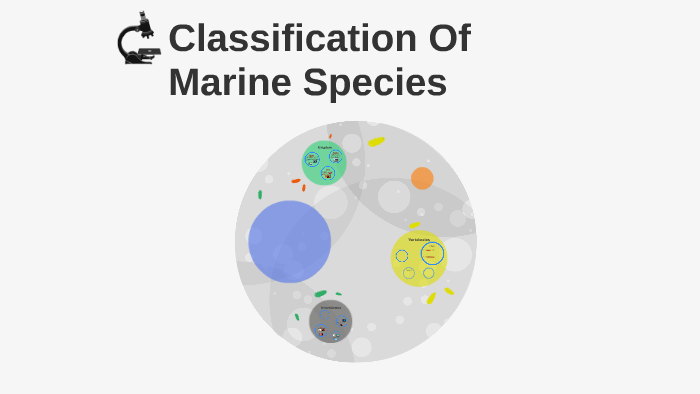 Classification Of Marine Species by Bryce Shelton on Prezi