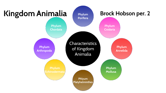 Kingdom Animalia by Brock Hobson on Prezi