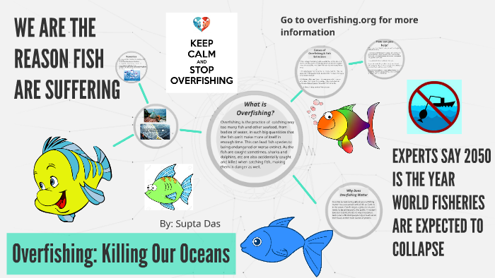 What is Overfishing (For Kids)?