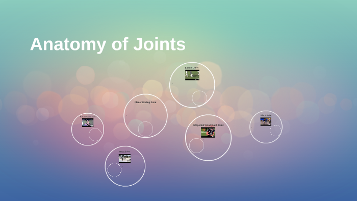 assignment on joints pdf