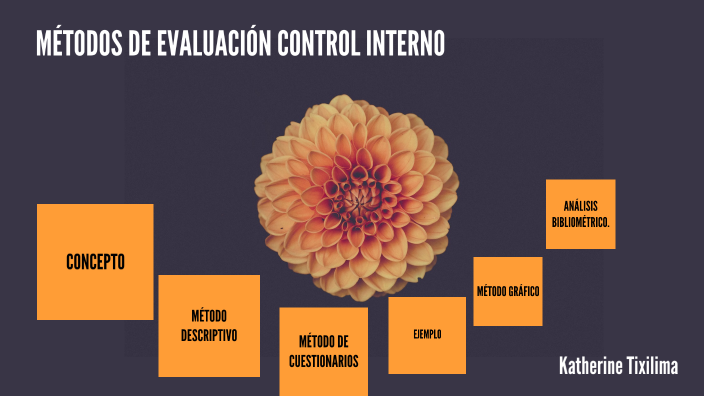METODOS DE EVALUACION DEL CONTROL INTERNO by Katherine Tixilima on Prezi