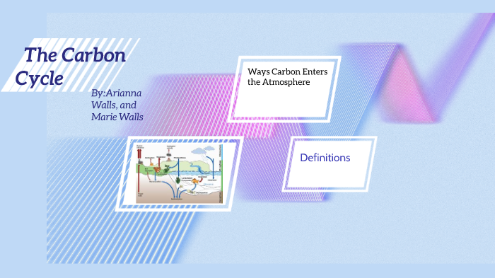The Carbon Cycle by Arianna Walls on Prezi