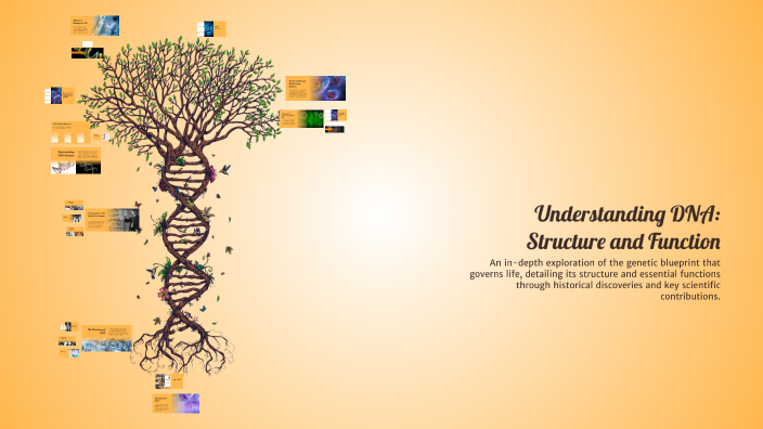 Understanding DNA: Structure and Function by Moo Alaa on Prezi