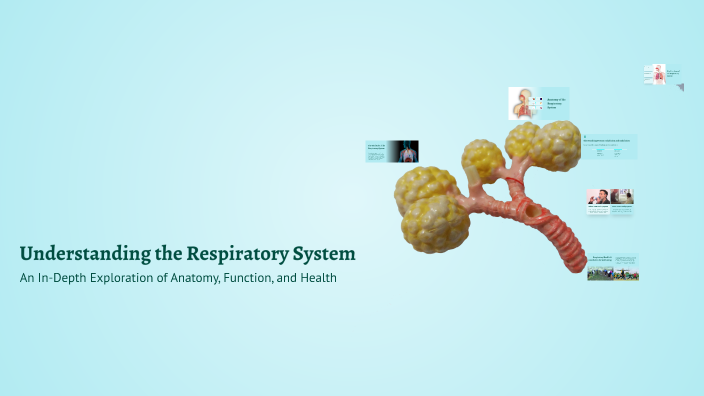 Understanding the Respiratory System by PRINCES KARYLLE PARK on Prezi