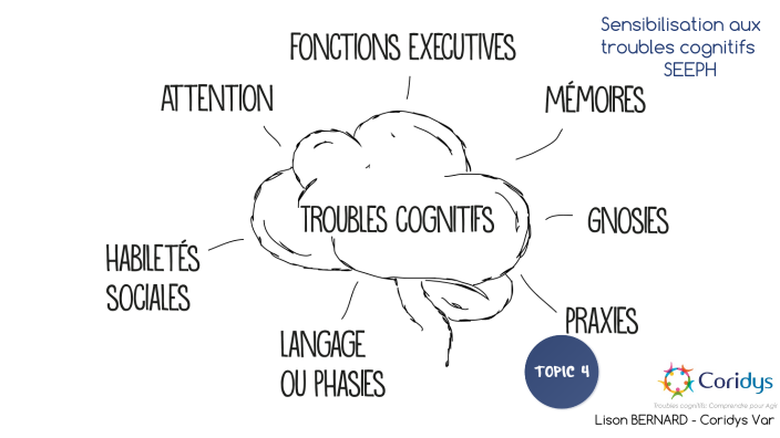 Test DREAL by Lison BERNARD on Prezi