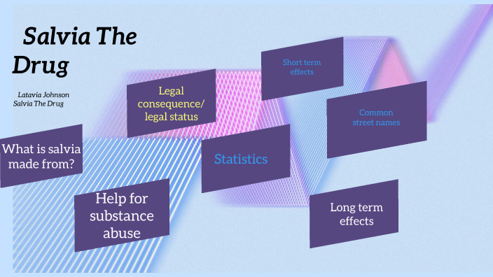 Salvia The Drug And Its Causes By Latavia Johnson On Prezi