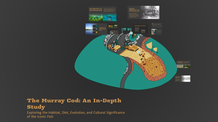 The Murray Cod: An In-Depth Study by Jefdiah Heal on Prezi