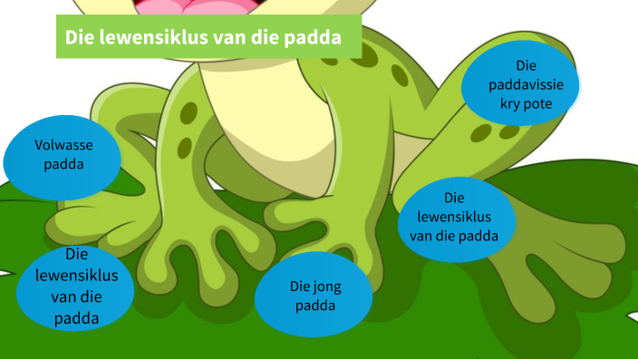 Die lewensiklus van die padda by Betsie Swanepoel on Prezi