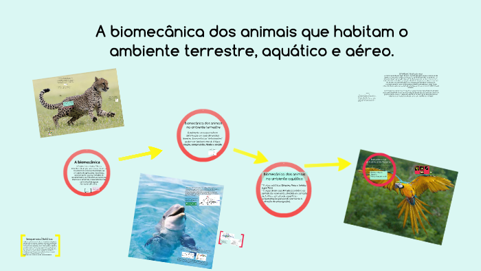 A biomecânica dos animais que habitam o ambiente terrestre, by Gabriely ...