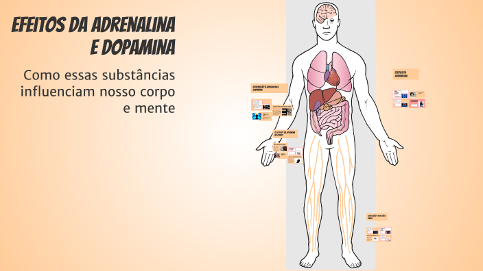 Efeitos da Adrenalina e Dopamina by Guilherme Galdino on Prezi