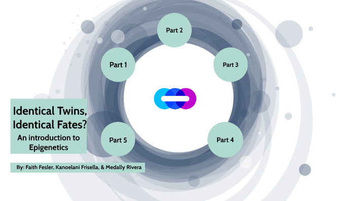 Identical Twins, Divergent Fates: The True Story of Whitney Cerak