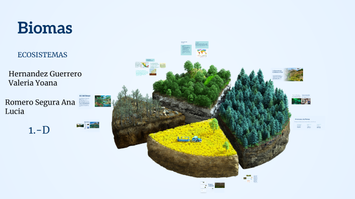 Biomas by Valeria Hernández on Prezi
