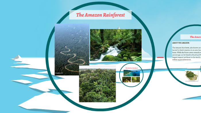 The Amazon river by Alysha Holmes on Prezi