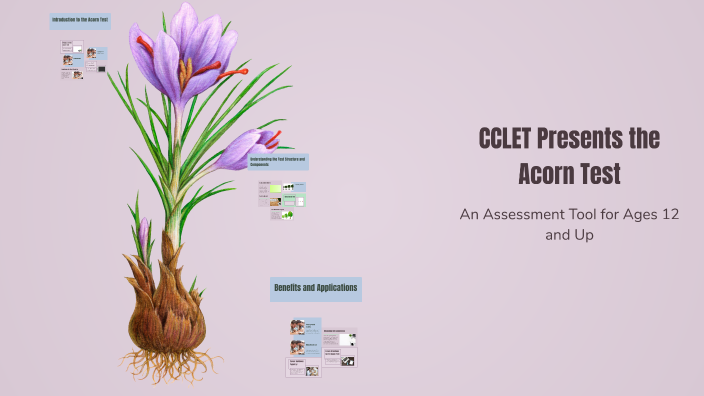 CCLET Presents the Acorn Test by Haojun Yin on Prezi