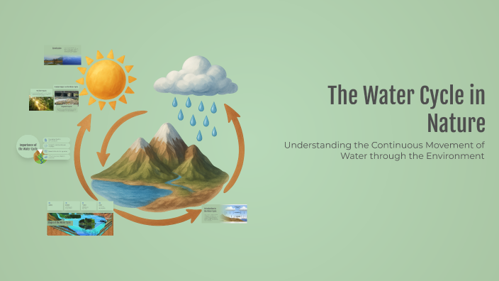 The Water Cycle in Nature by David-Cristian Banuta on Prezi