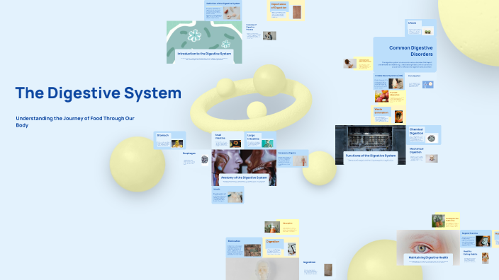 The Digestive System by Ricma Putri on Prezi