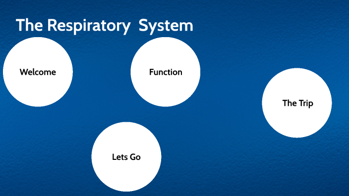 respiratory system by justin locke on Prezi