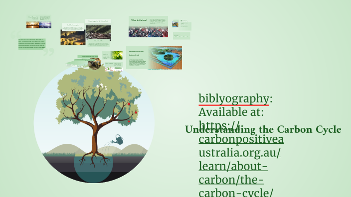 Understanding the Carbon Cycle by Molly Fletcher on Prezi