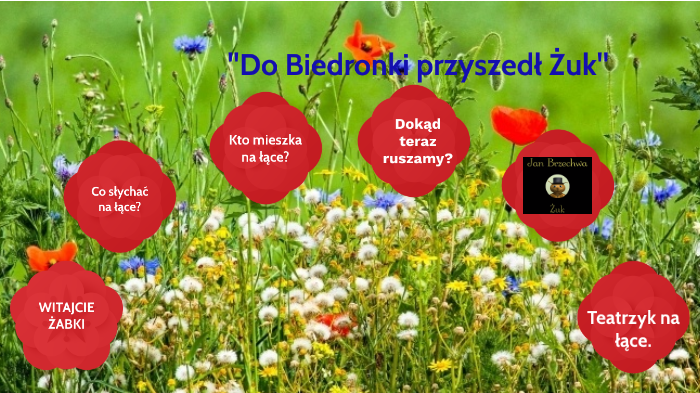 Do Biedronki Przyszedł żuk Tekst