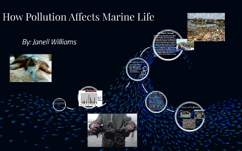 How Pollution Affects Marine Life by Janell Williams on Prezi